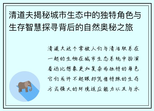 清道夫揭秘城市生态中的独特角色与生存智慧探寻背后的自然奥秘之旅